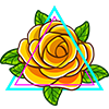 Triviarose customer review image